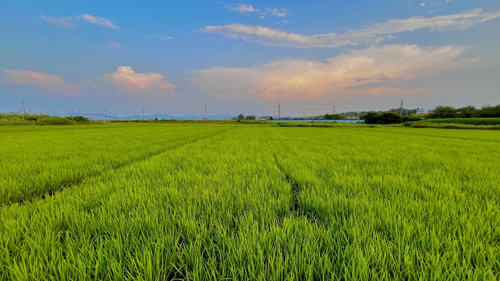 Spring 2026 ver.2 By sears