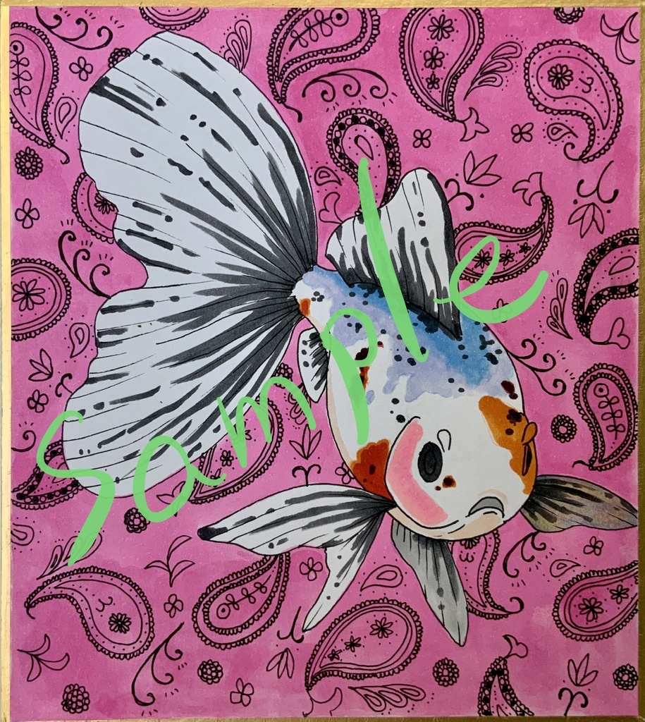 ミニ色紙 ブリストル朱文金