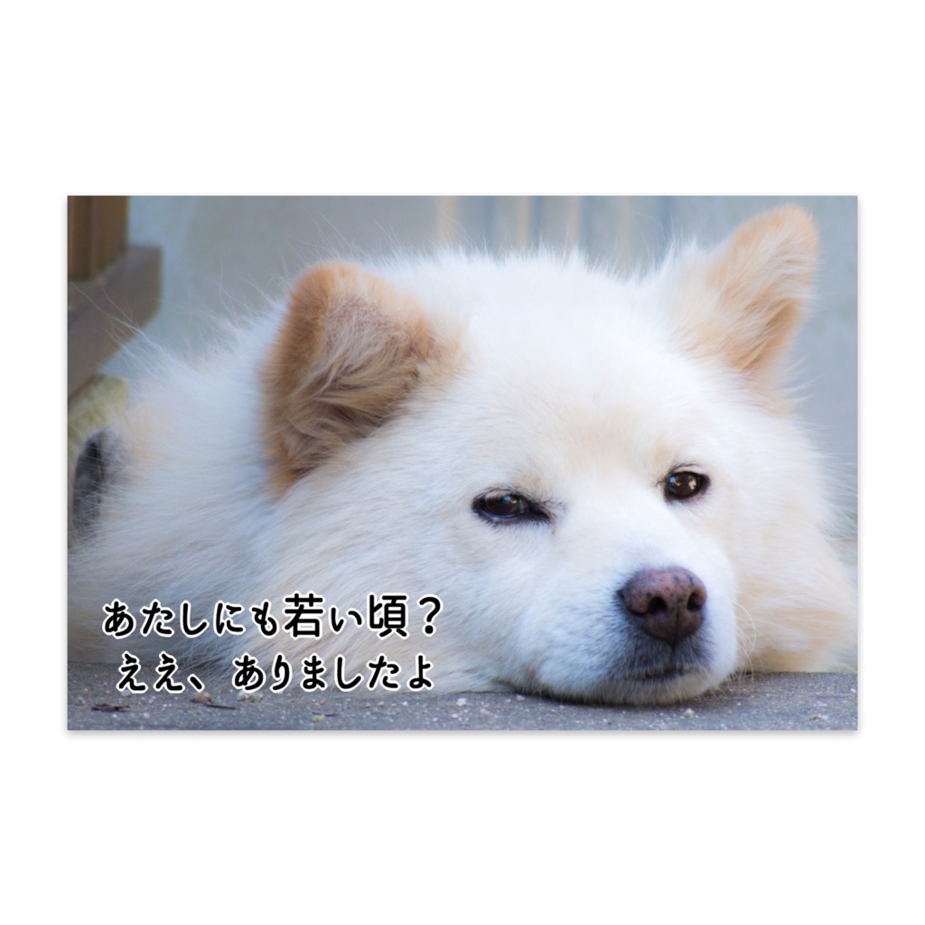 若い頃ありました