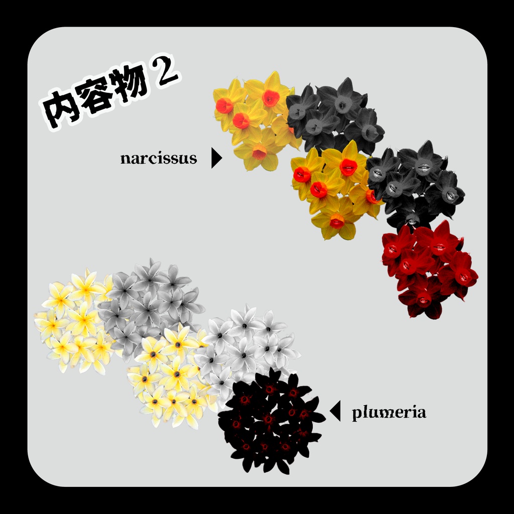 無料版あり/賑やかなお花たち~ニコニコハッピー~