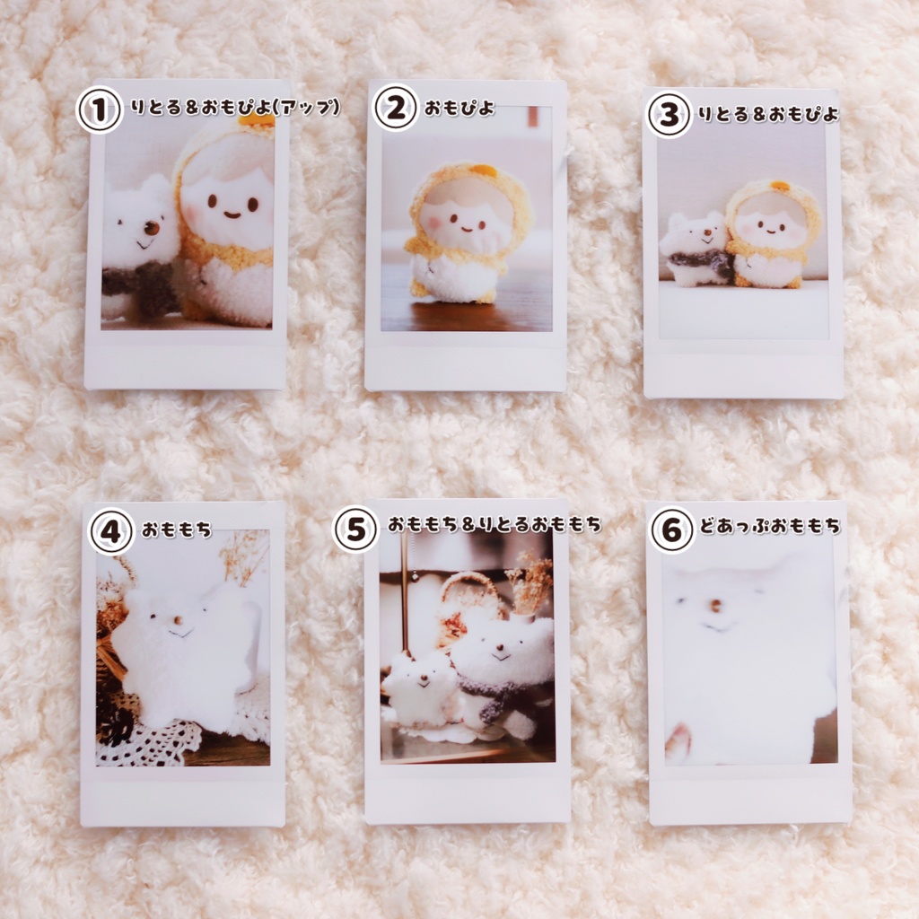 【ハンドメイドシリーズ】おもちのぬいぐるみ実写チェキ(全6種)