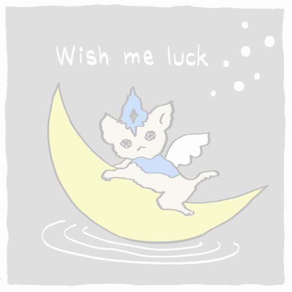 ツキを乗りこなす☆魔法使いのマグ