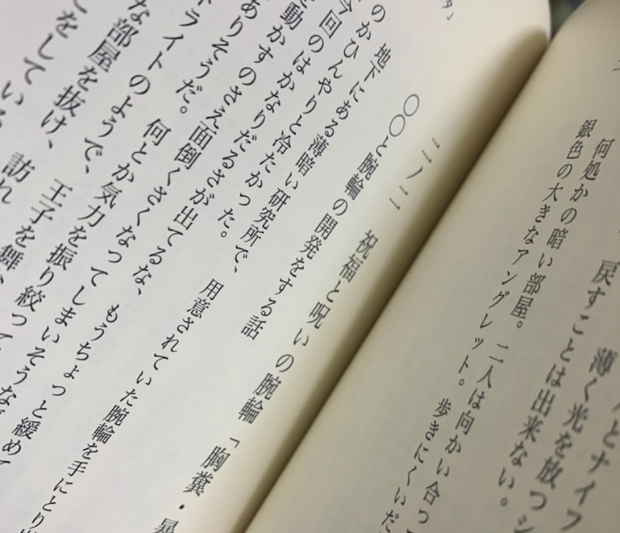 悪魔の王子に手を引かれ+オマケ