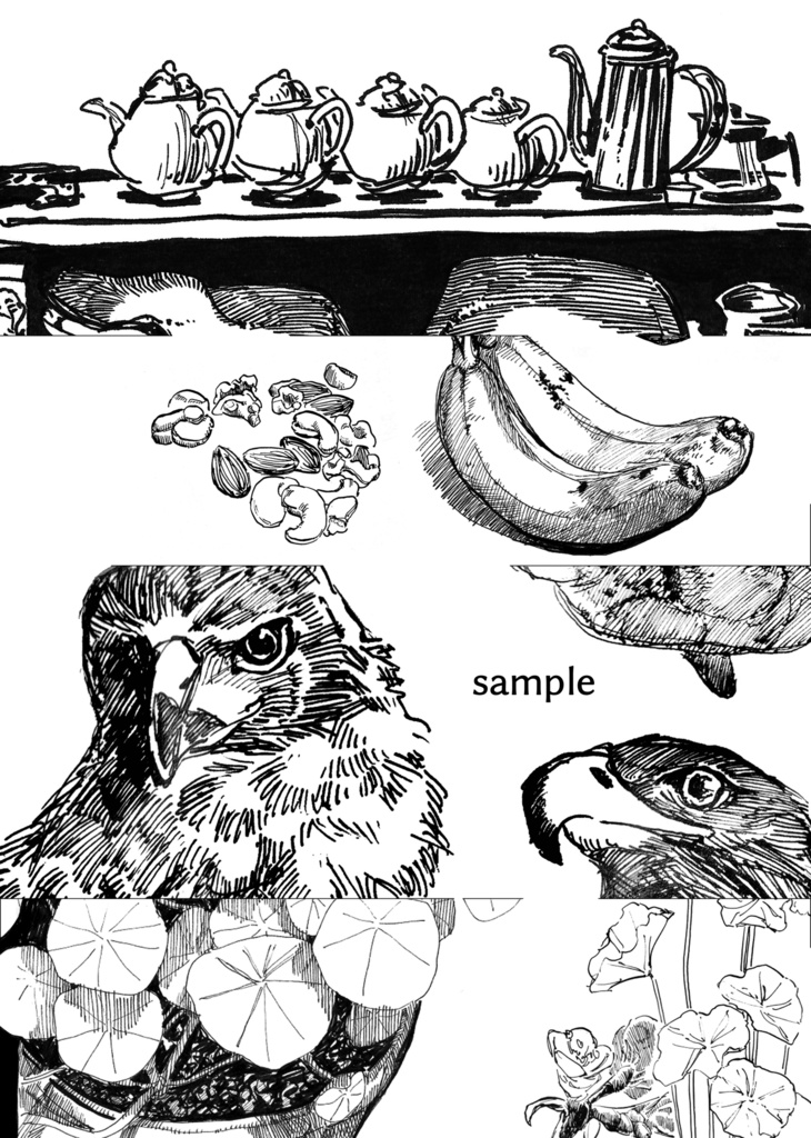 みたもの、きいたもの、感じたこと。