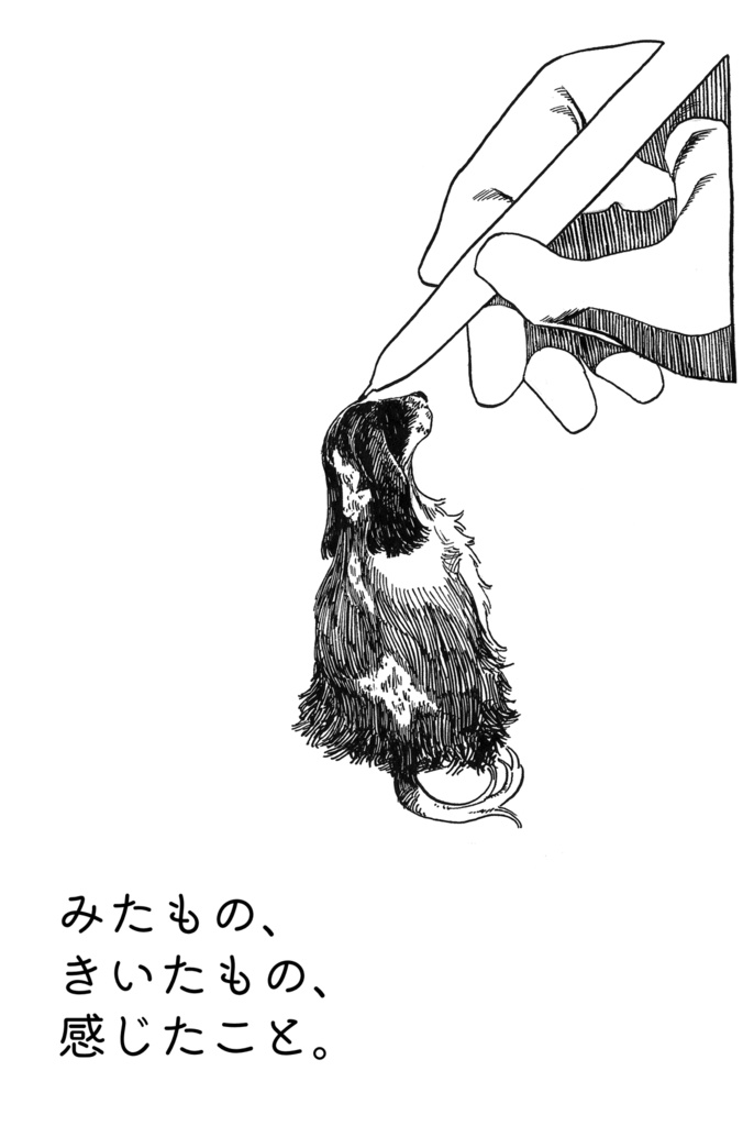 みたもの、きいたもの、感じたこと。