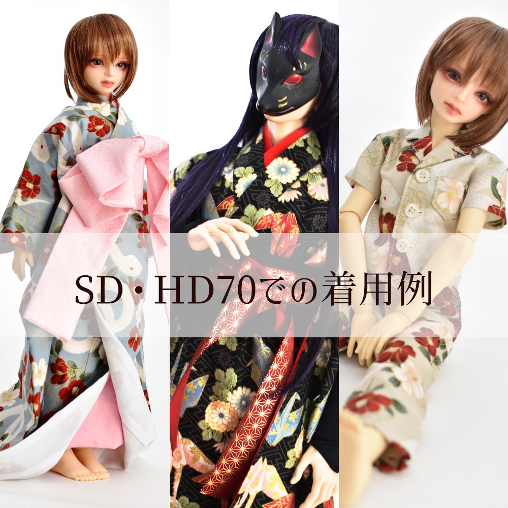  SD・HD70での着用例