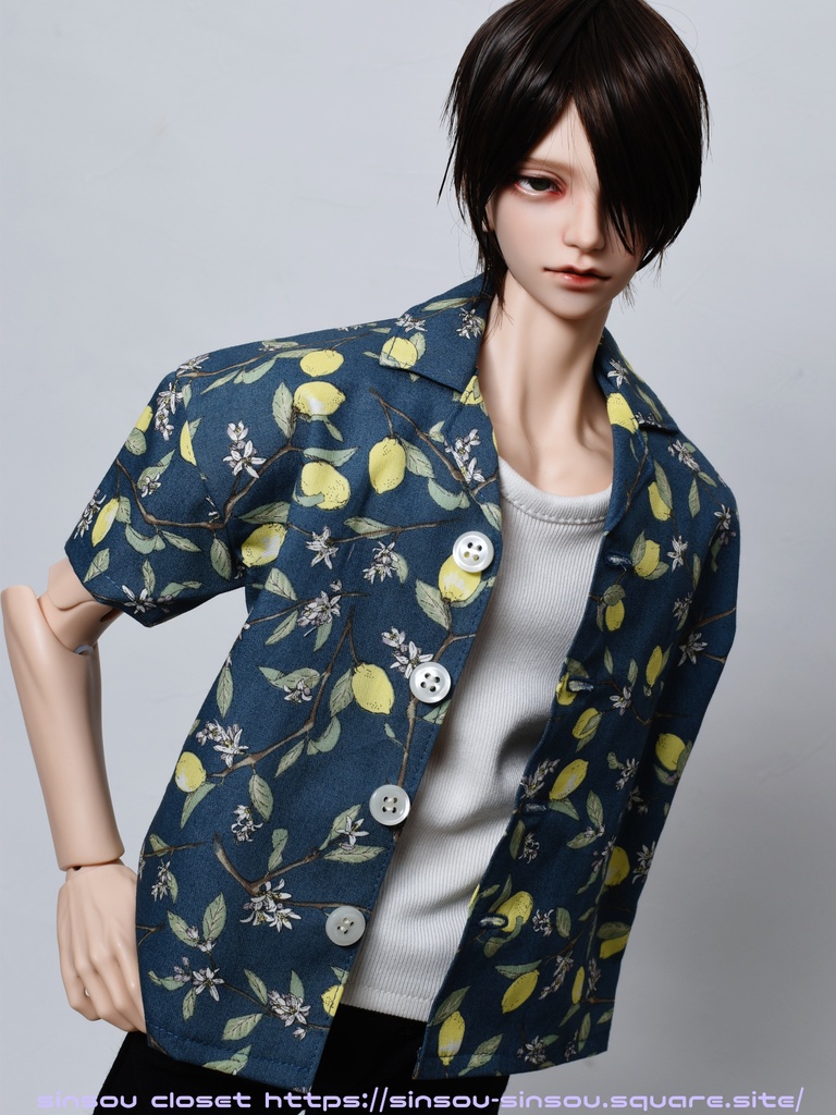 【HD70】シャツ