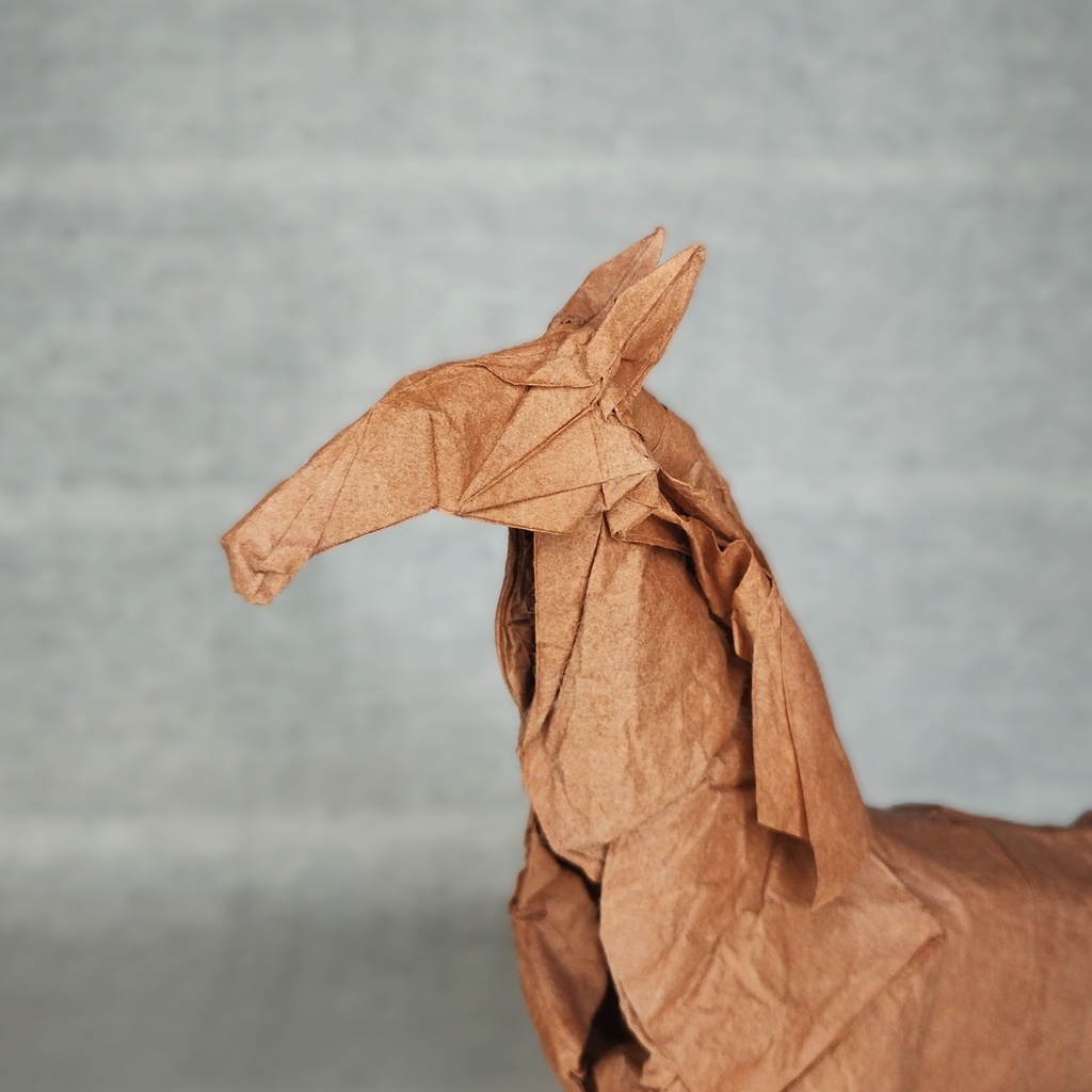 馬の展開図/Horse on CP