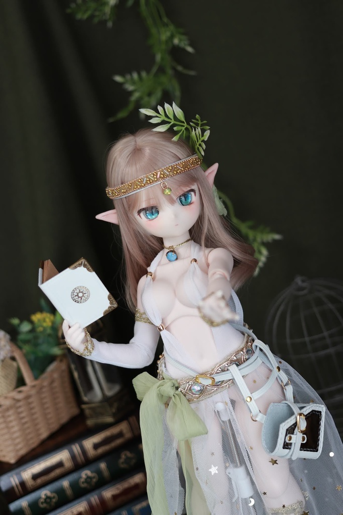 MDD 　魔導書ホルスター