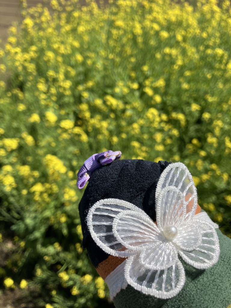 俵形ぬい用　妖精の羽根
