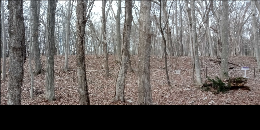 360パノラマ背景シリーズ　Vol1「キウス周堤墓群」