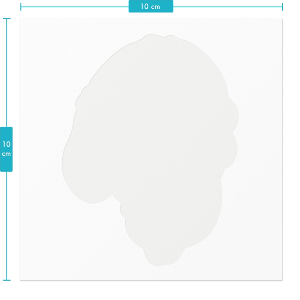 冬うさぎちゃん