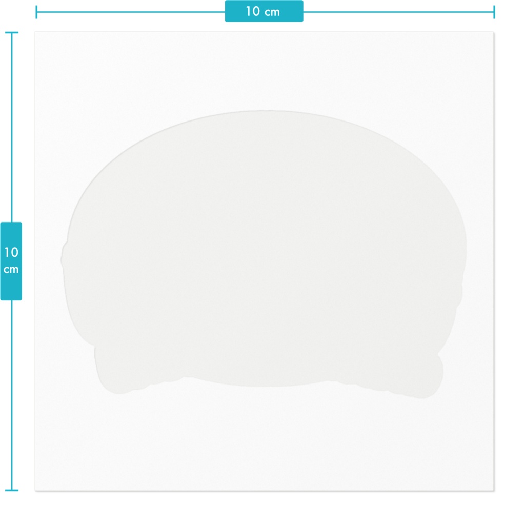 名前入り プレゼント企画特別価格