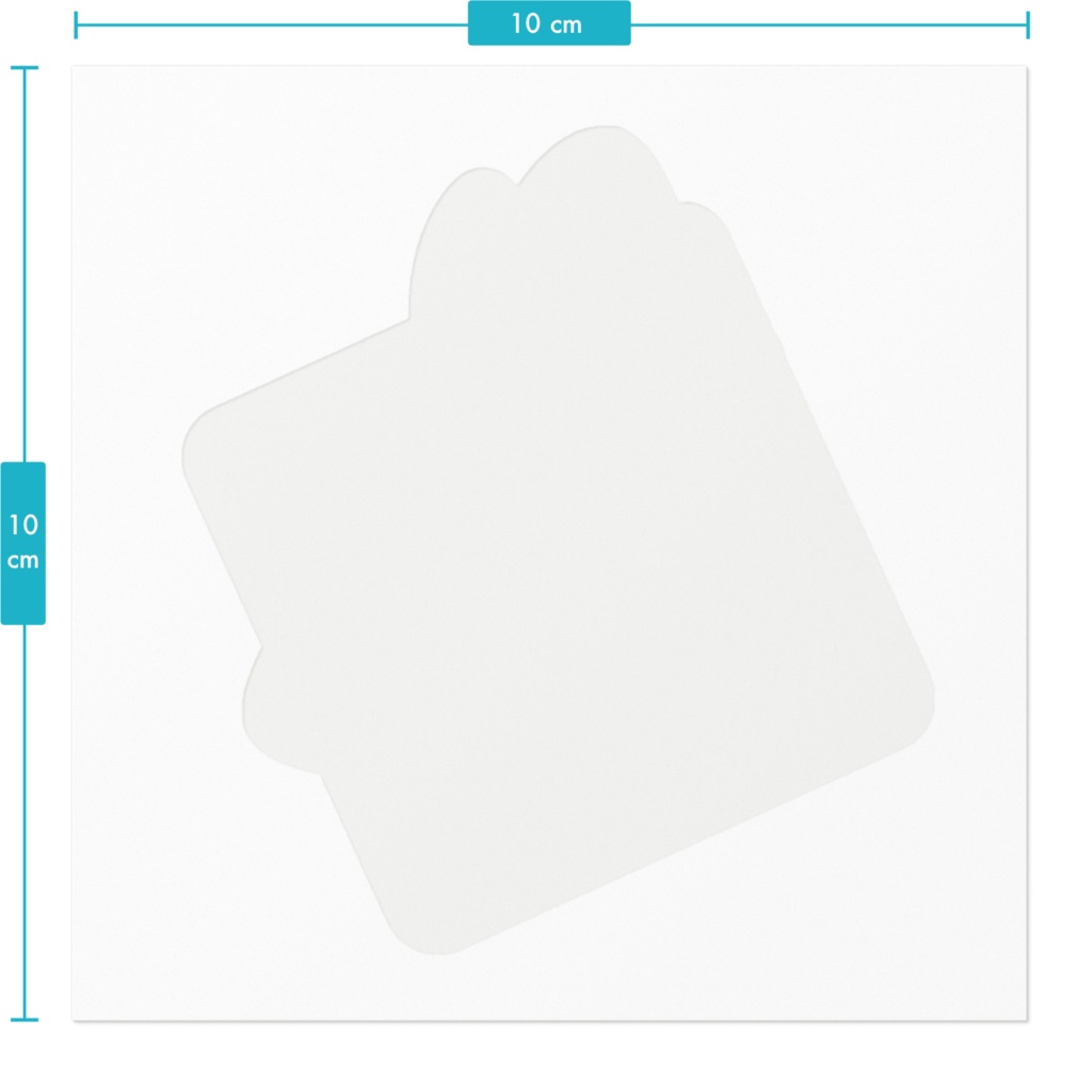 プレゼント企画特別価格