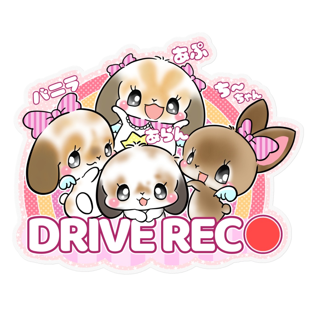 DRIVE REC