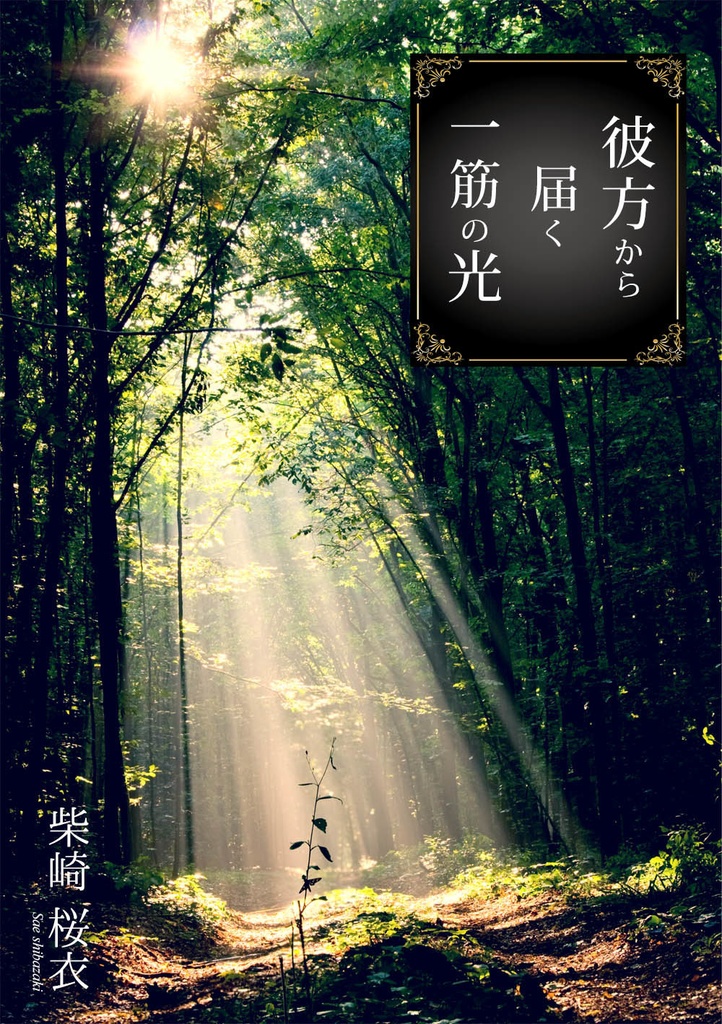 『彼方から届く一筋の光』