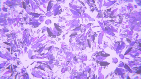 【素材集】言葉はいらない素材集【APNG】