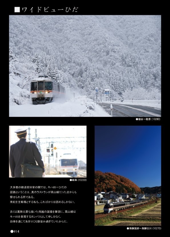 キハ85 ~線路際から見た雄姿~