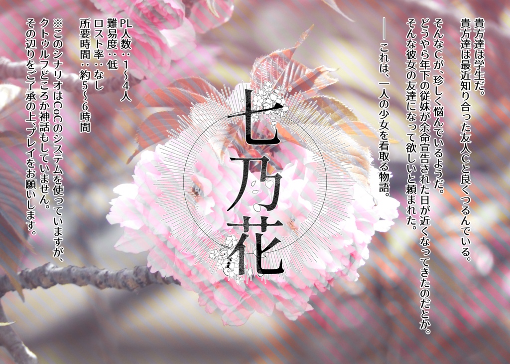 それは夏の思い出_SPLL:E119338