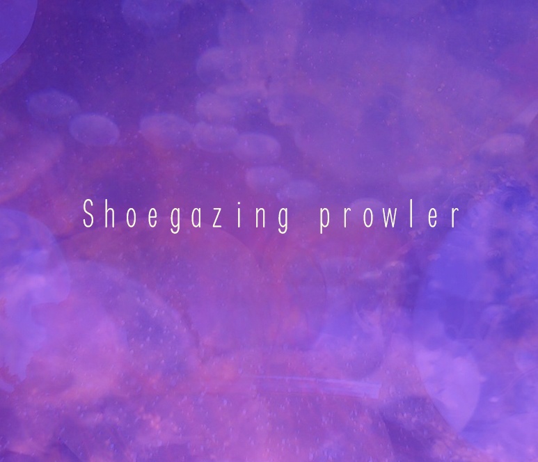 Shoegazing prowler