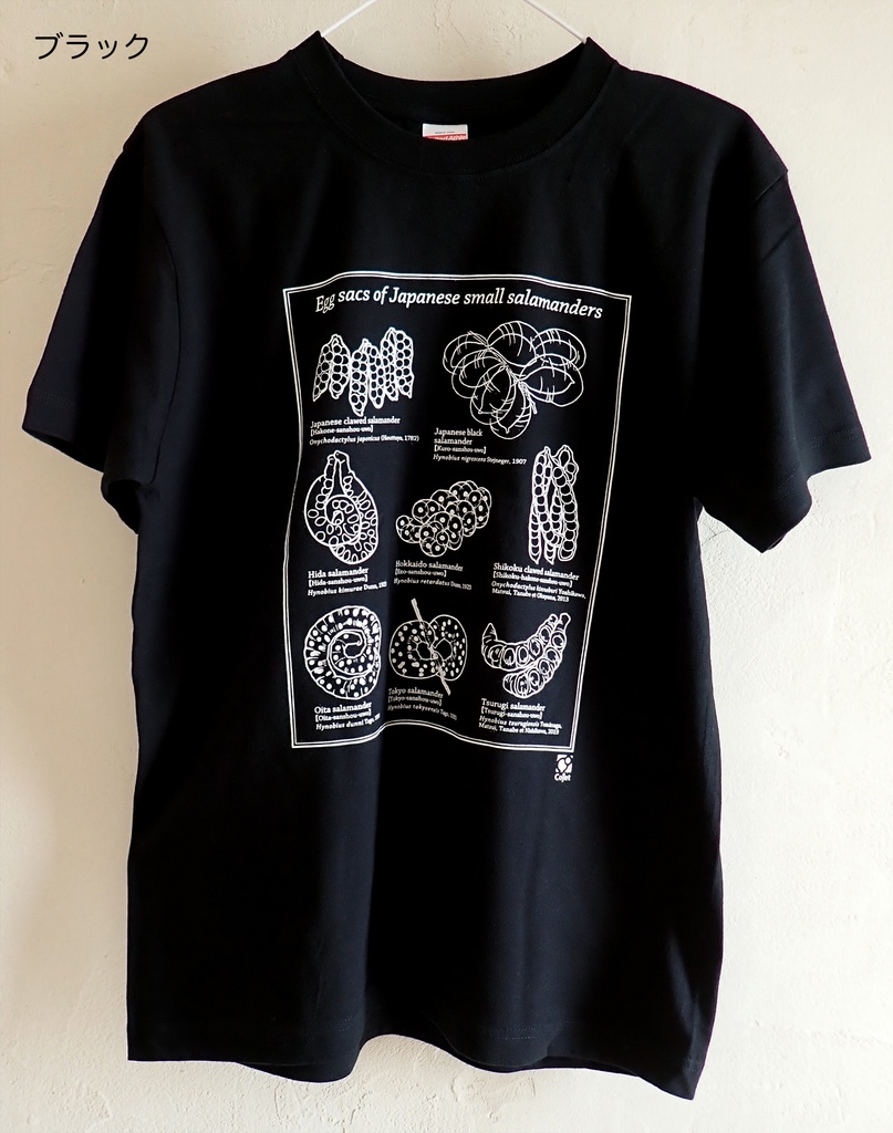 日本産小型サンショウウオ卵のう図鑑Tシャツ