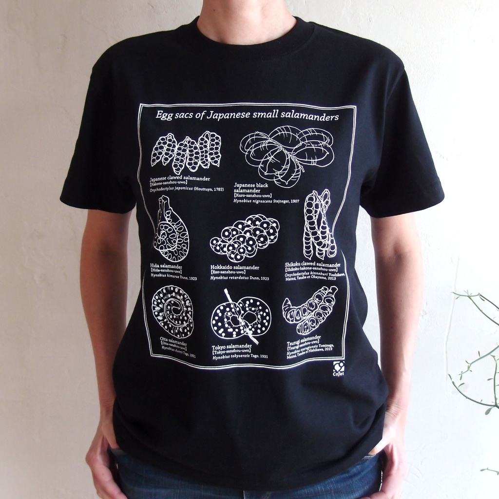 日本産小型サンショウウオ卵のう図鑑Tシャツ
