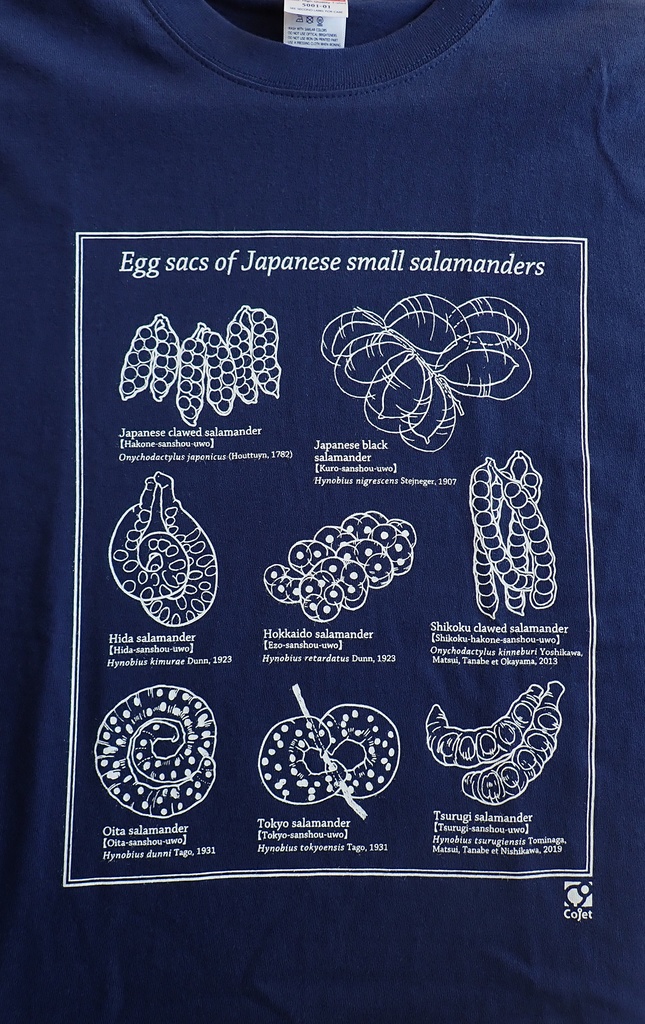 日本産小型サンショウウオ卵のう図鑑Tシャツ