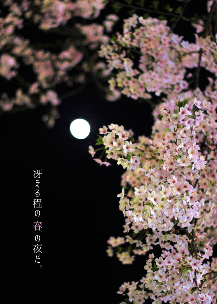 冴える程の春の夜だ。