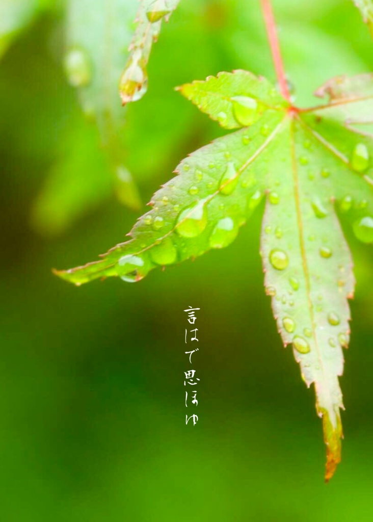 言はで思ほゆ