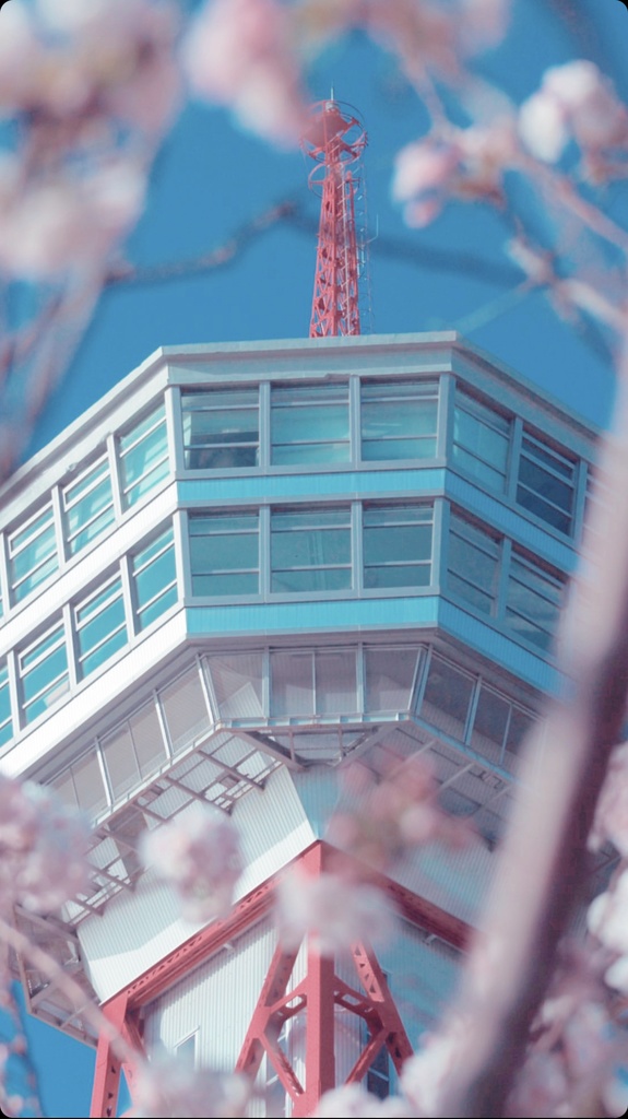 桜とポートタワー