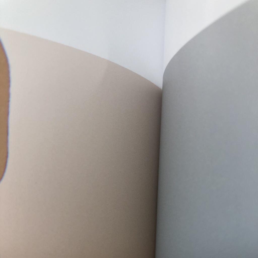 爛漫の夢 ※本文凹みあり