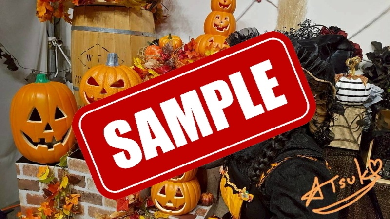 【大野敦子】10・11月ブロマイドC【写真データ】