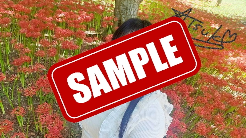 【大野敦子】10・11月ブロマイドB【写真データ】