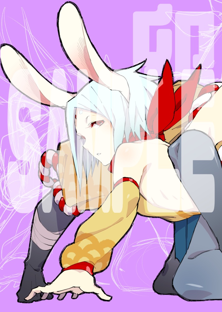 SHINOBON-干支-上巻