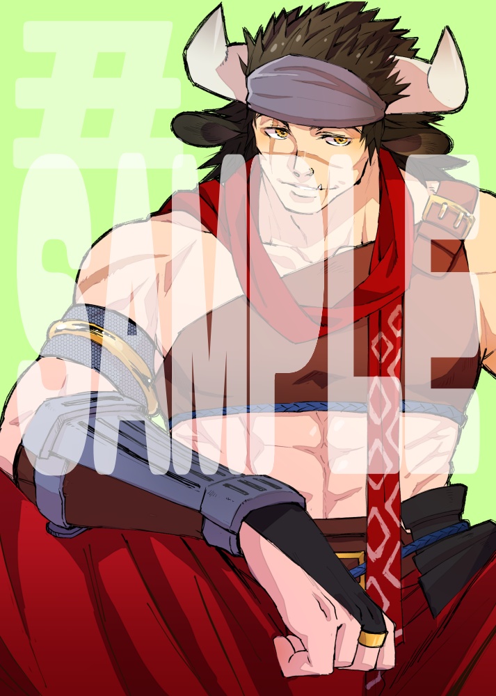 SHINOBON-干支-上巻