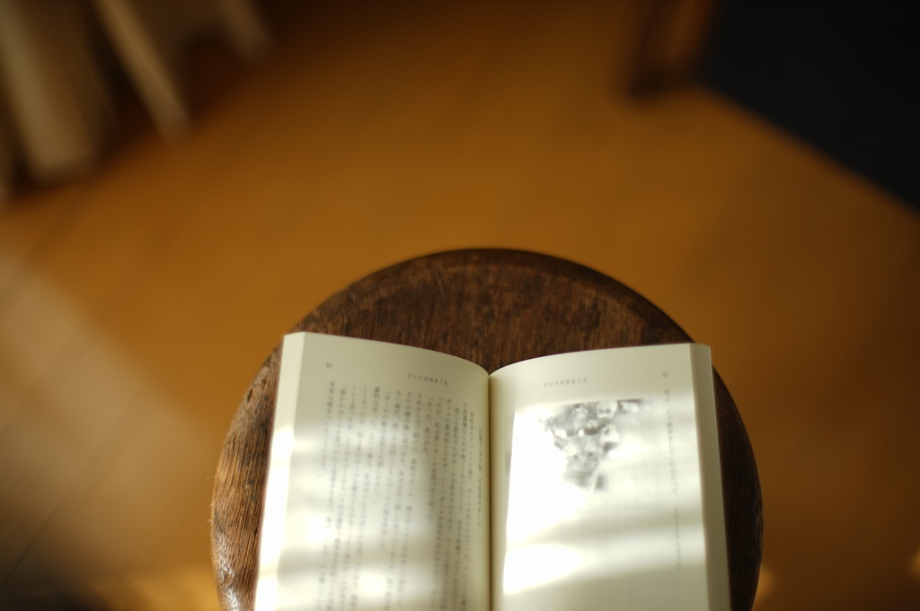 ピンクのあまぐも(2019)