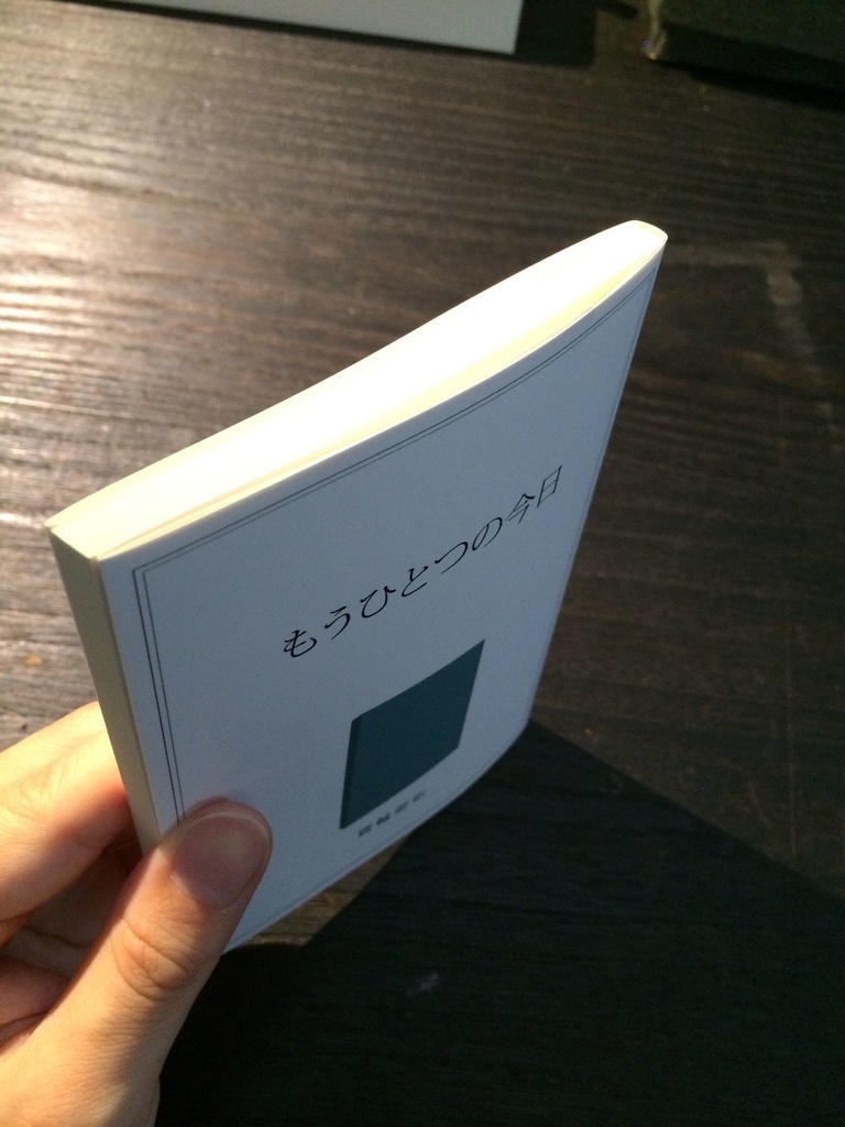 もうひとつの今日(2013)