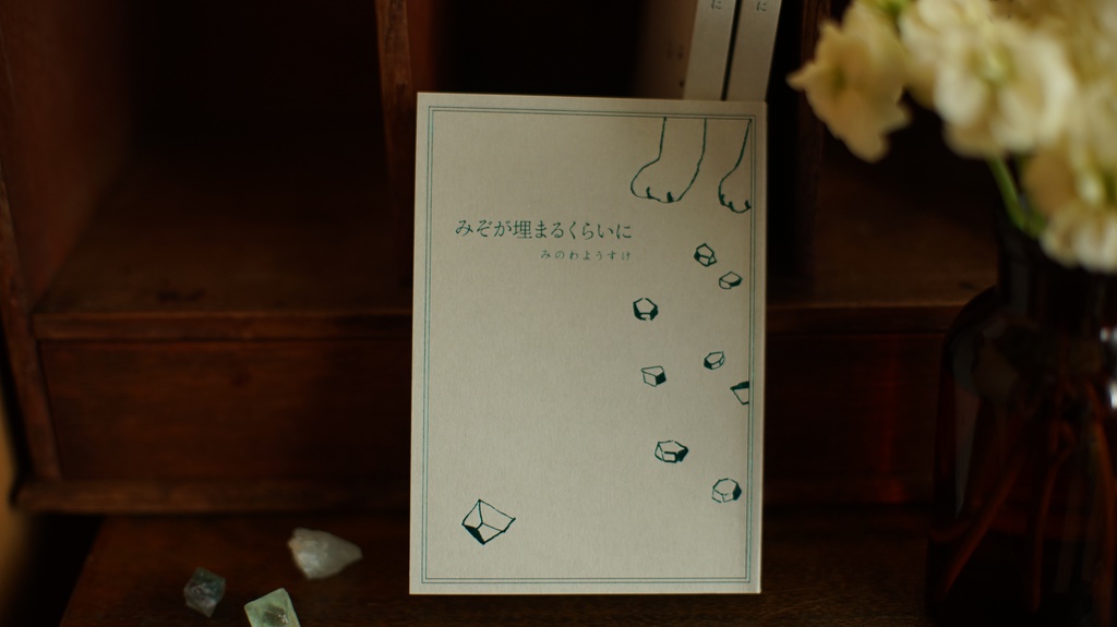 みぞが埋まるくらいに(2017)