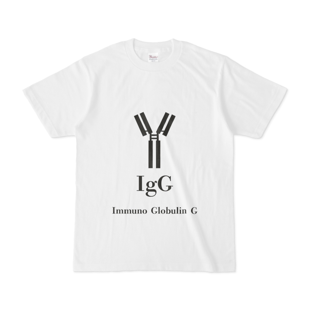 免疫抗体　IgG　Tシャツ