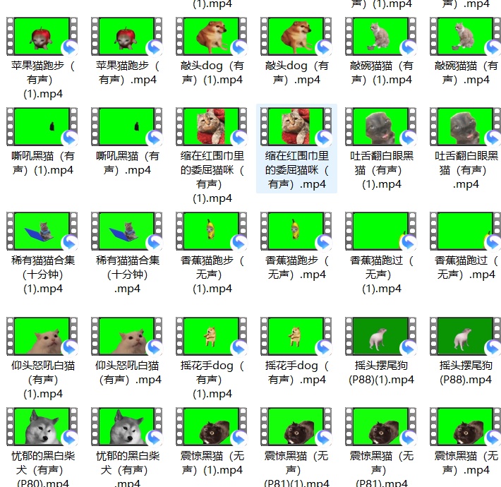 猫おもしろ素材&背景素材パック