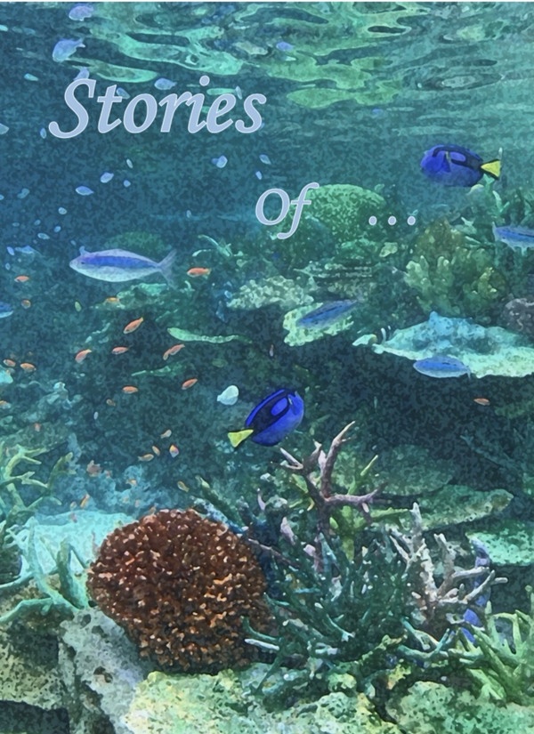 Stories of …