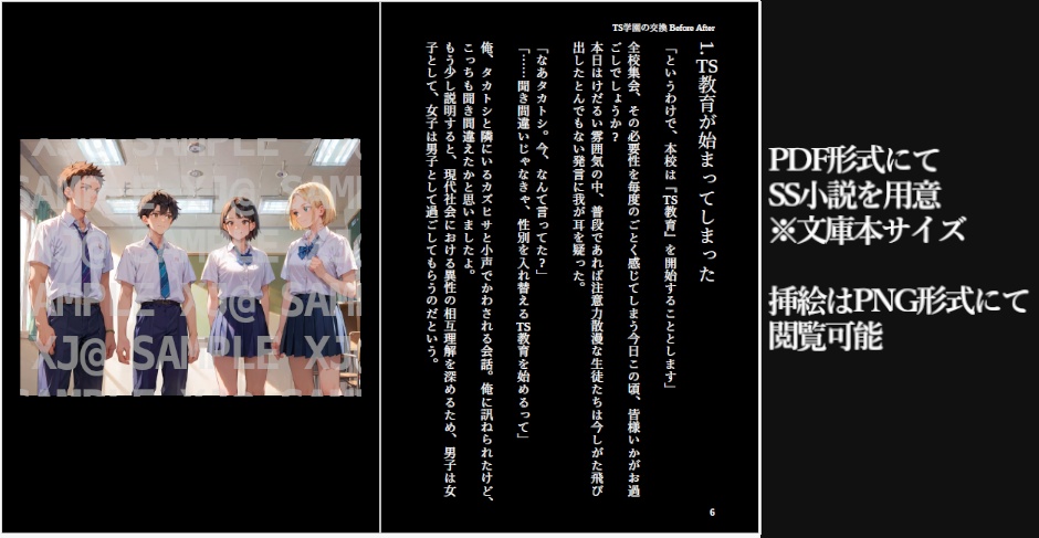 TS学園の交換 Before After イラストノベル集