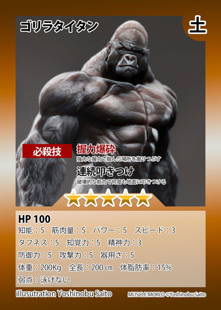 Muscle World トレーディングカード 送料無料