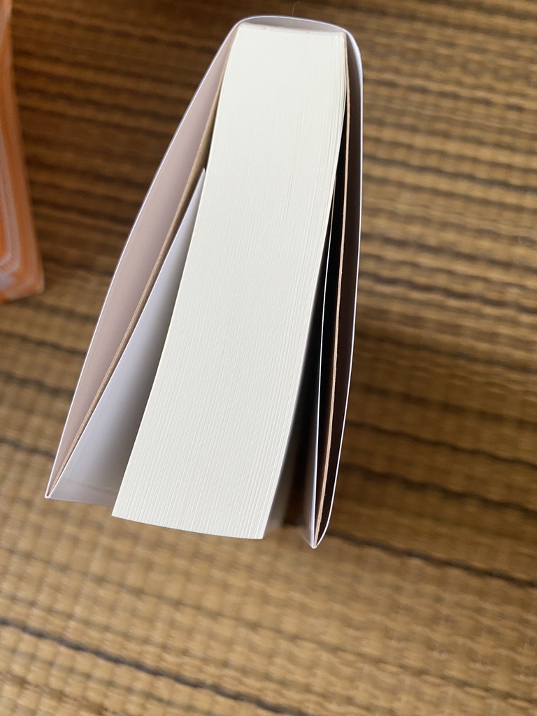 【セブルス夢本】終わりの先に続く物語 5巻 下(クリックポスト版)