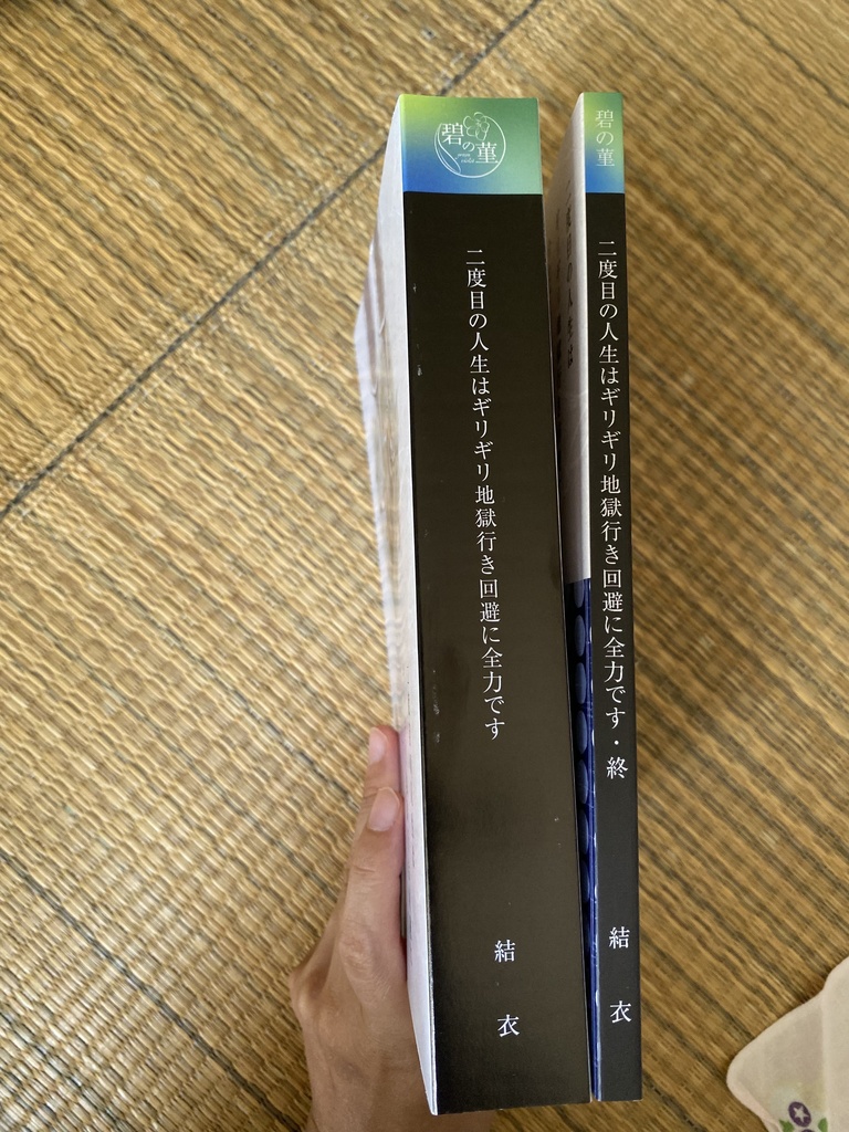 【通常・要対面受取】二度目の人生はギリギリ地獄行き回避に全力です(無印&終)
