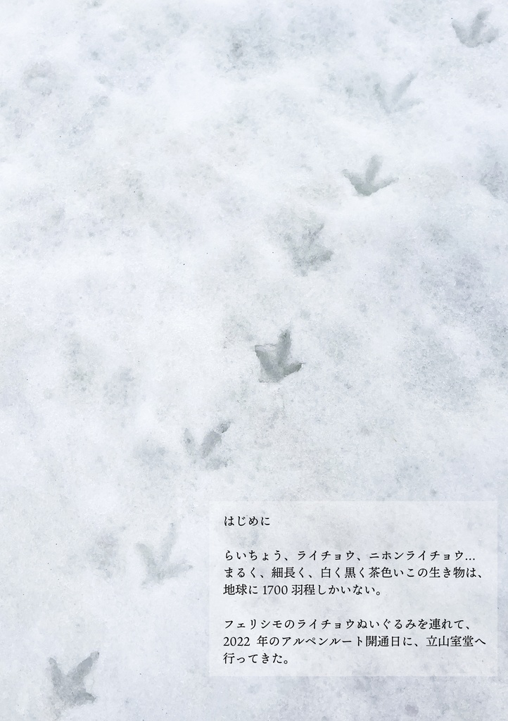 ライチョウに会いに行く