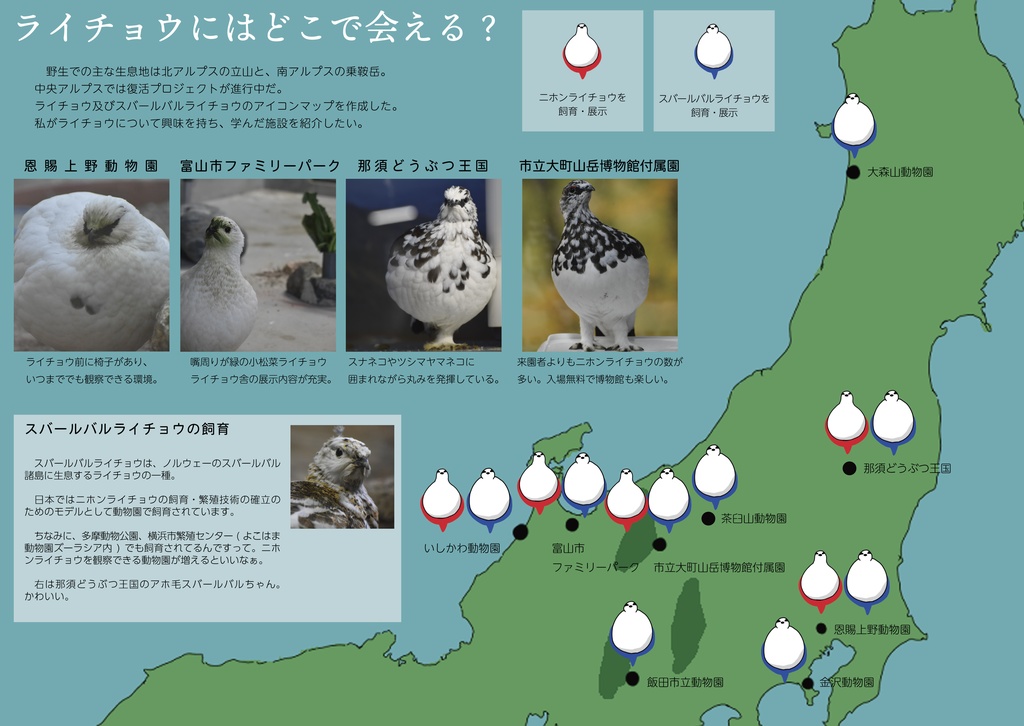ライチョウに会いに行く