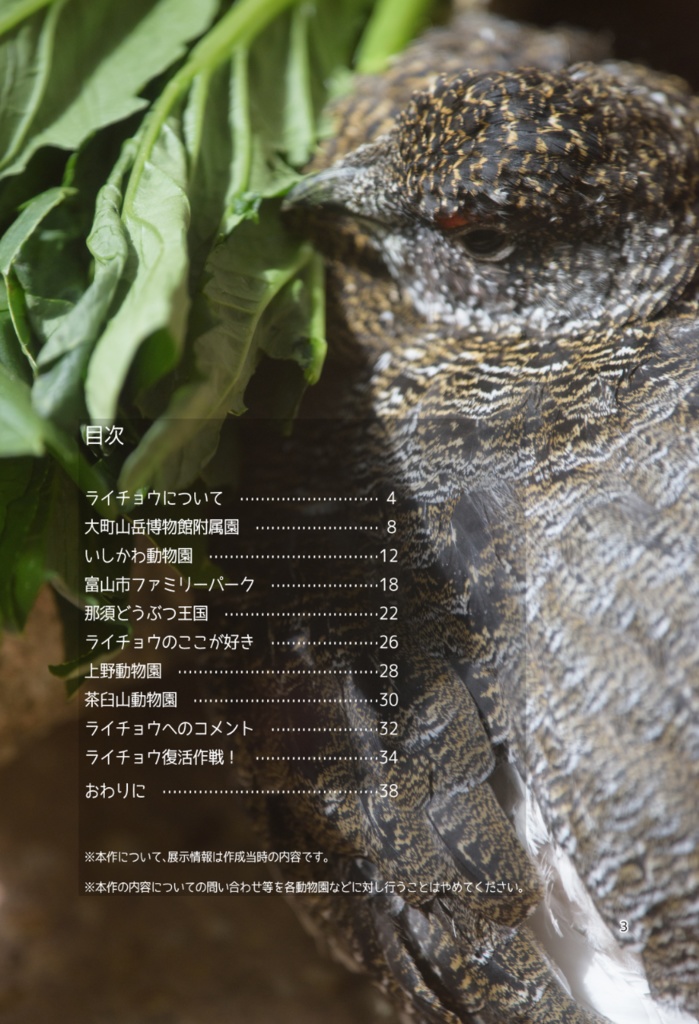 ライチョウを動物園で見る