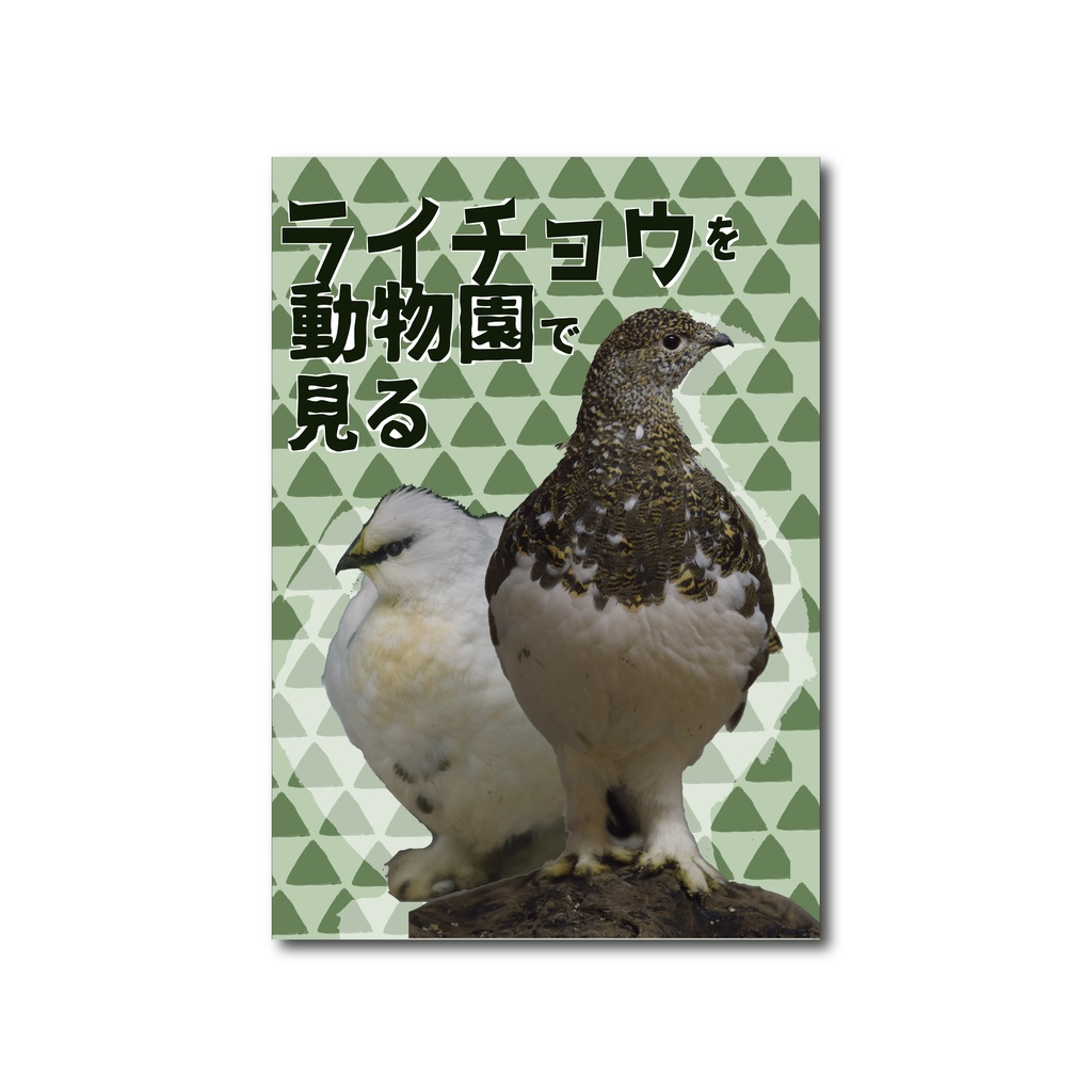 ライチョウを動物園で見る