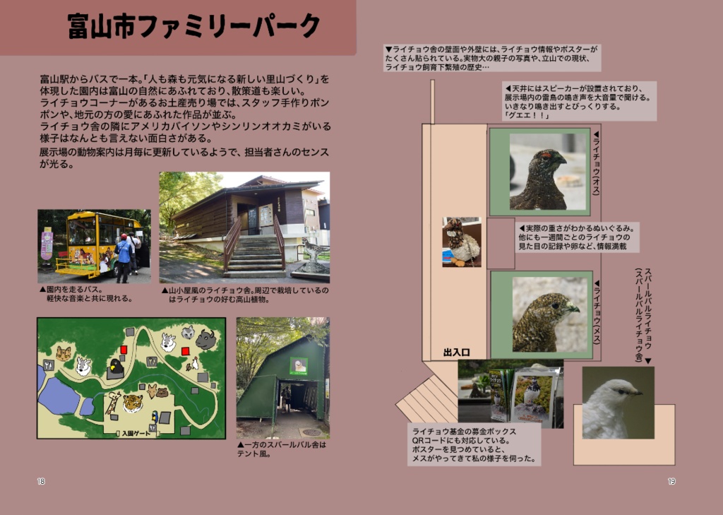 ライチョウを動物園で見る
